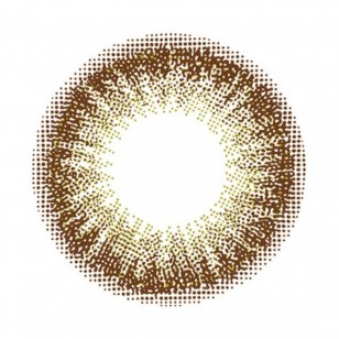 FLANMY Matcha Tart 10片裝